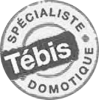 Tébis